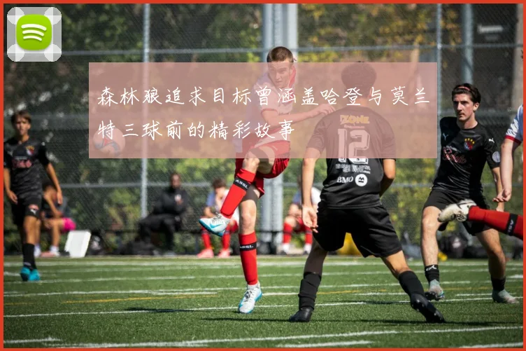 森林狼追求目标曾涵盖哈登与莫兰特三球前的精彩故事
