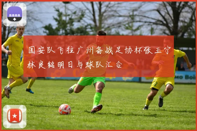 国安队飞往广州备战足协杯张玉宁林良铭明日与球队汇合