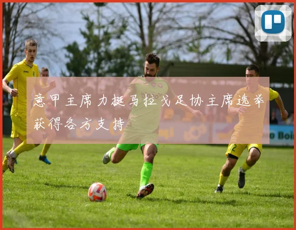 意甲主席力挺马拉戈足协主席选举获得各方支持